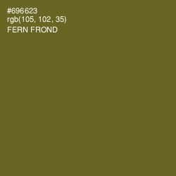 #696623 - Fern Frond Color Image